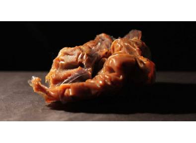 gum-asafoetida