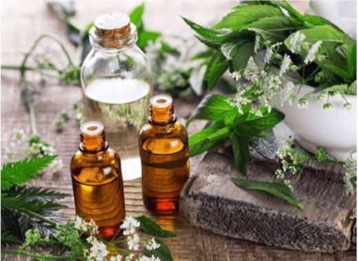 asafoetida-oil