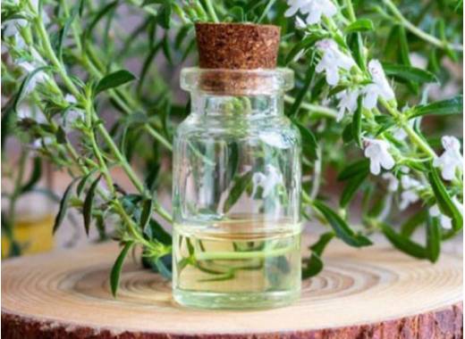 savory-essential-oil