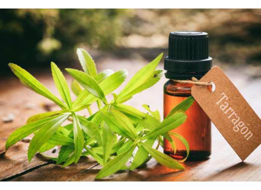 tarragon-essential-oil-1