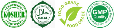 top logo